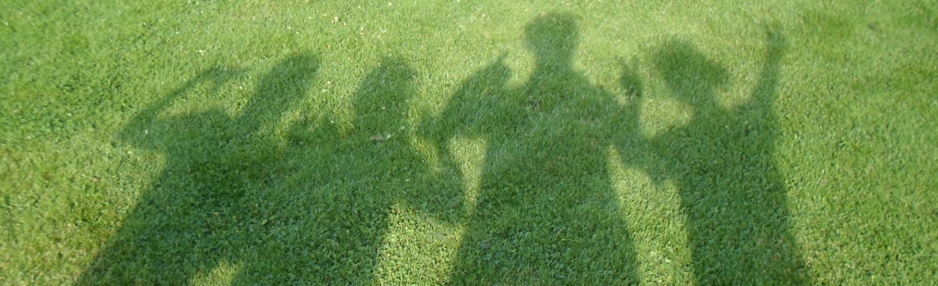 beerze missie en visie